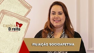 Explica Direito Filiação Socioafetiva  2019 [upl. by Eisac]