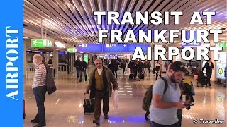 TRANSIT WALK AT FRANKFURT Airport FRA Terminal 1  Connection Flight Transfer Arriving amp Departing [upl. by Euqenimod]